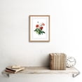thumbnail image 2 of Flower Poppy Coquelicot Double Art Print Framed Poster Wall Decor 9x7 inch, 2 of 5