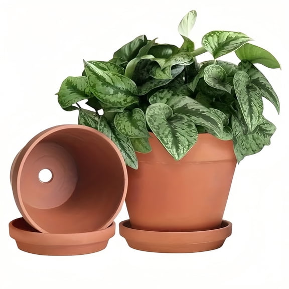 6.3 Inch x 5.5 Inch Terracotta Clay Planters with Drainage Hole, Saucer, 2 Count