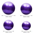 thumbnail image 2 of Tignapoo Anti-Burst Exercise Balance Ball with Pump - Silver 65cm, 330lb Capacity, Thickened PVC for Yoga, Pilates, Home Workouts & Kids Fun, 2 of 7