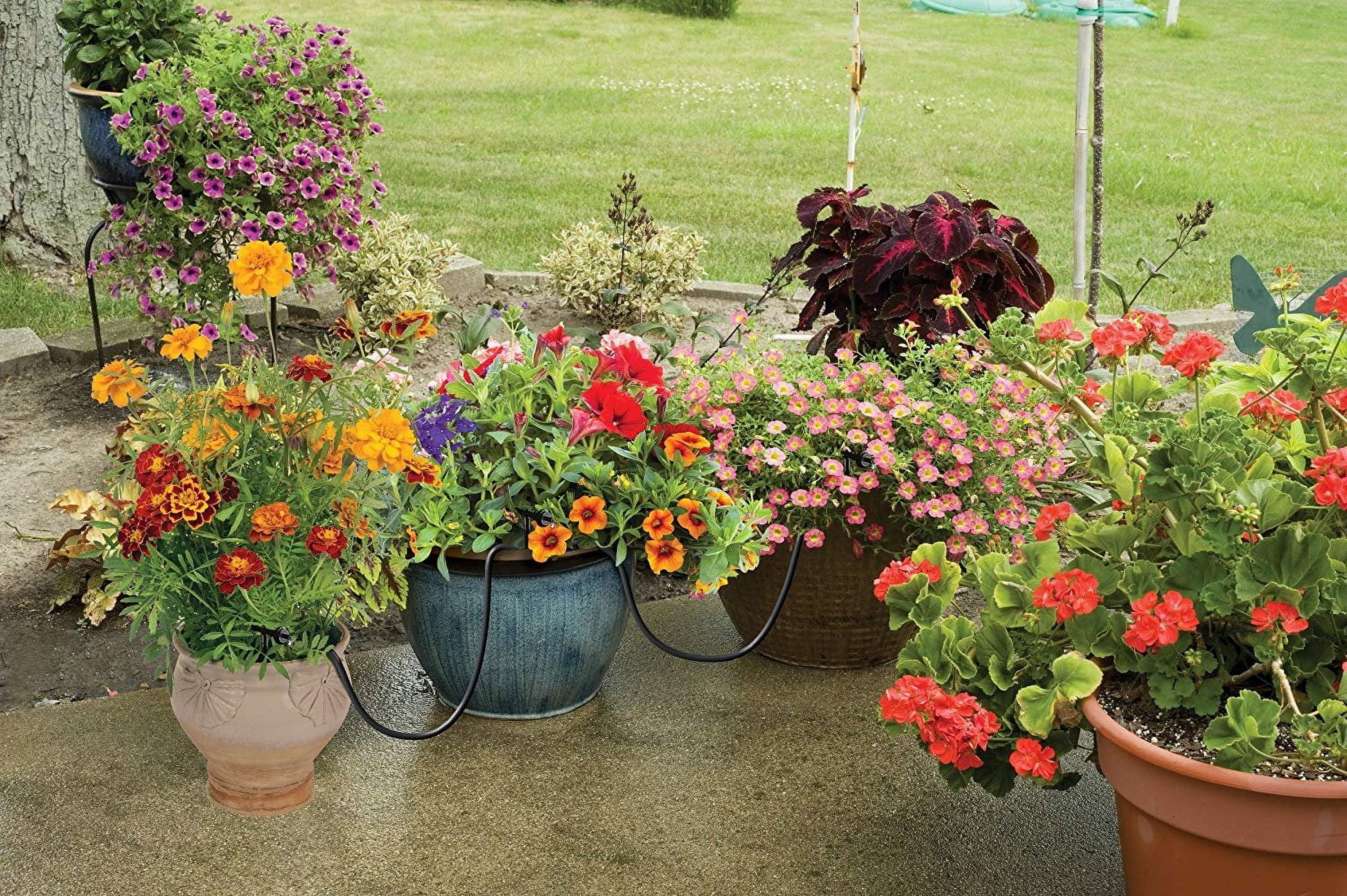 Rain Drip Auto Container& Hanging Basket Kit With Timer