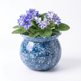thumbnail image 2 of EFISPSS Hand-Patted Glaze Self Watering Ceramic Planter with Inner Clay Pot, 6 Inch Cobalt Blue African Violet Pots, Easy Care Indoor Plant Pot for Home Decor, 2 of 9