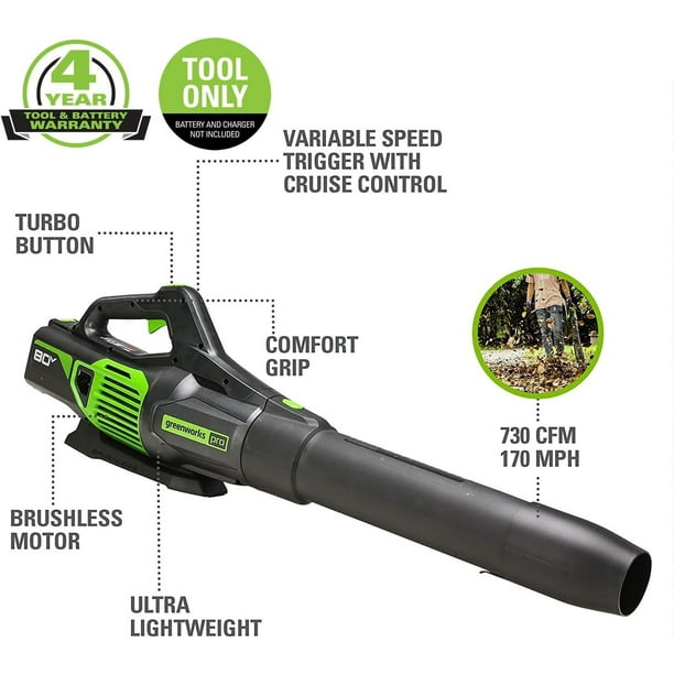 Greenworks pro 80v cordless brushless axial blower hotsell