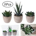 Artificial Succulent Plants Potted, Assorted Decorative Faux Succulent