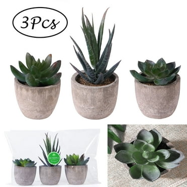 Artificial Plants Simulation Plant Pot Realistic Cactus Naturalistic ...