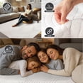 thumbnail image 3 of 8x10 Machine Washable Shag Area Rug, High Pile Plush Rug for Living Room & Bedroom, Soft Fluffy Carpet with Non-Slip Backing for Indoor Home Décor, 3 of 9