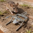 thumbnail image 5 of Heavy Duty Mole Traps for Lawns - Galvanized Steel Gopher Traps with Sensitive Trigger - Reusable & Weatherproof Vole Control for Garden and Farm, 5 of 8