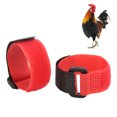 thumbnail image 4 of 2 Pcs Collier de Poulet, Matériau Nylon Anti-Crochet Ceinture de Cou de Poulet Réglable Design Simple Collier de Poulet pour Coqs Rouge, Noir, 4 of 8