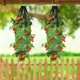 thumbnail image 3 of TSV 13.8 in Green Upside-Down Hanging Planters with 13 Growth Ports (2 Count), 3 of 7