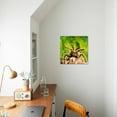 thumbnail image 3 of Tarantula, BirdEating Spider, Animals Unframed Photographic Print Wall Art by Andy Teare Sold by ArtCom, 3 of 4