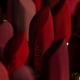 thumbnail image 4 of Labial Sisley Paris Phyto-Rouge Velvet 40 Rouge Icon, 4 of 7