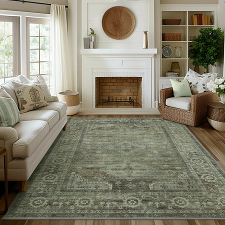 DEORAB 5x7 Ultra-thin Area Rugs for Living Room Bedroom  Machine Washable Stain Resistant Non-Shed Carpet  Low Pile Mat with Non Slip Backing