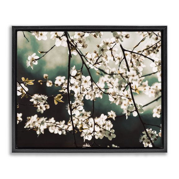 Stupell Industries French Country Cherry Blossom Nature Photography Black Floating Frame Canvas Art, 31 x 25, by Lil' Rue
