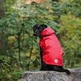 thumbnail image 7 of Gf Pet Reversible Elastofit Raincoat (pack Of 1), 7 of 7