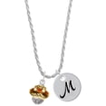 thumbnail image 1 of Delight Jewelry Goldtone Translucent Brown Center with Clear Crystals Spinner Silvertone Script Initial Disc - M - Charm Necklace, 20"+3", 1 of 4