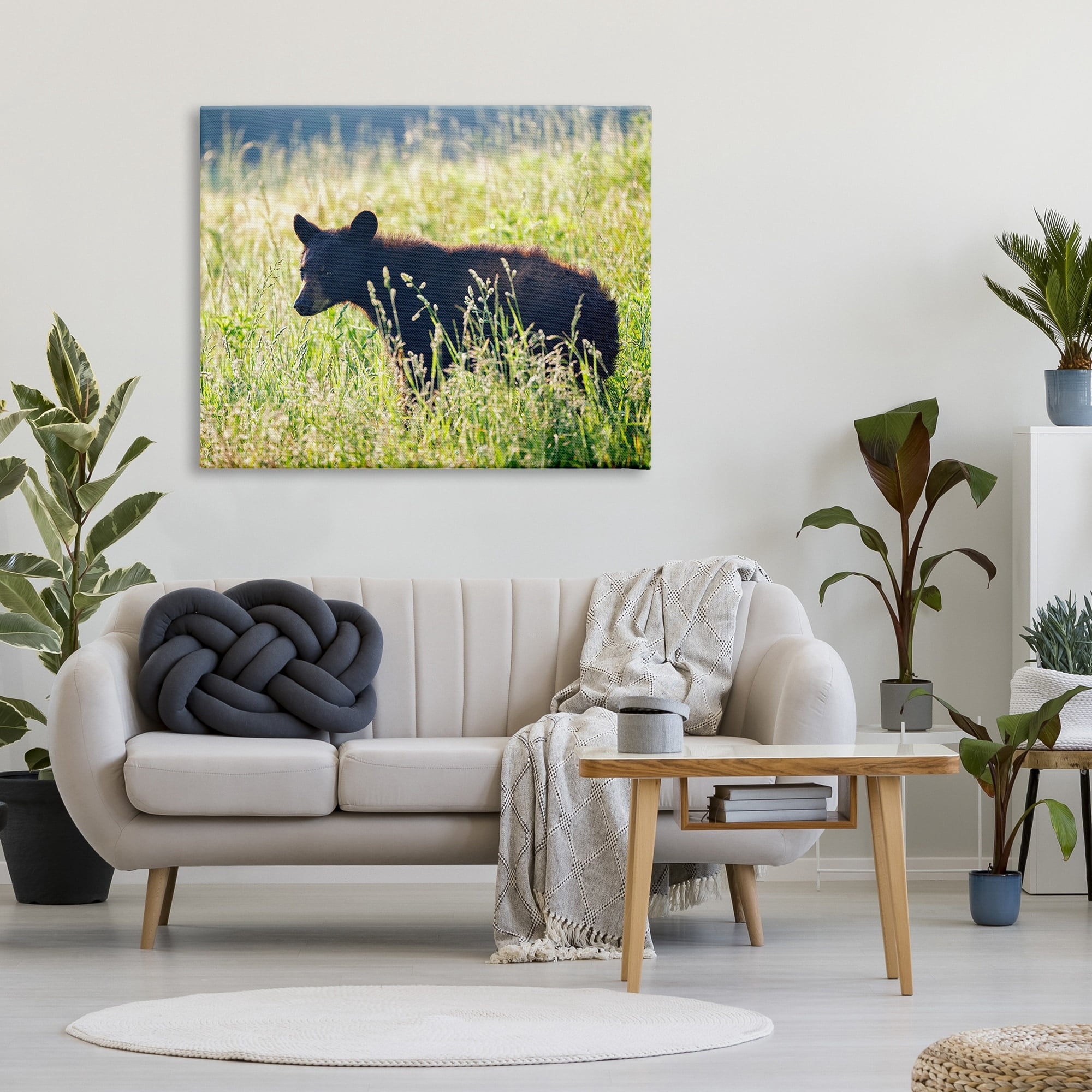 Stupell Baby Bear Tall Grassland Landscape Photography Gallery Wrapped Canvas Print Wall Art