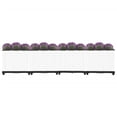 thumbnail image 2 of vidaXL Raised Bed 160x40x38 cm Polypropylene, 2 of 5