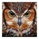 thumbnail image 1 of Cuadros Decorativos 5D bricolaje taladro redondo completo diamante pintura búho Kit decoración del hogar arte artesanía Wdftyju de costura negro 4 estilos, 1 of 9