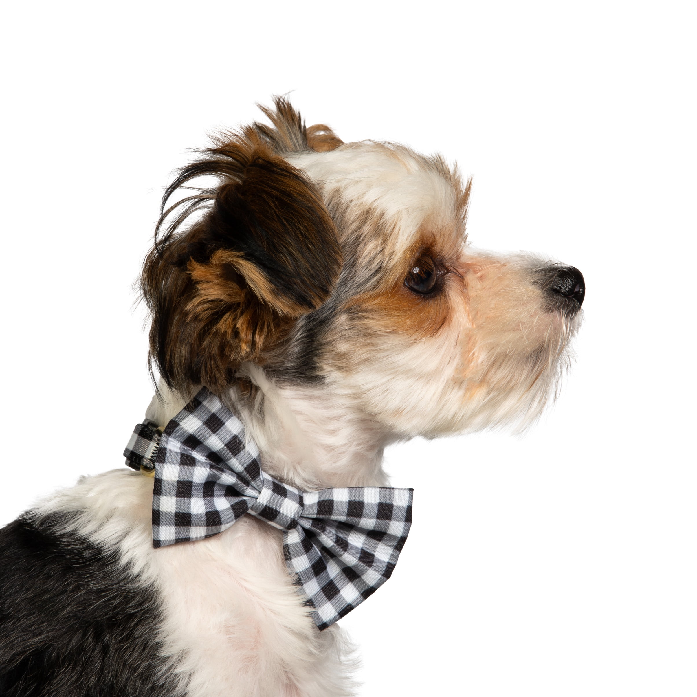Vibrant Life Gingham 3D Bow Tie Dog Collar, Size Xsmall