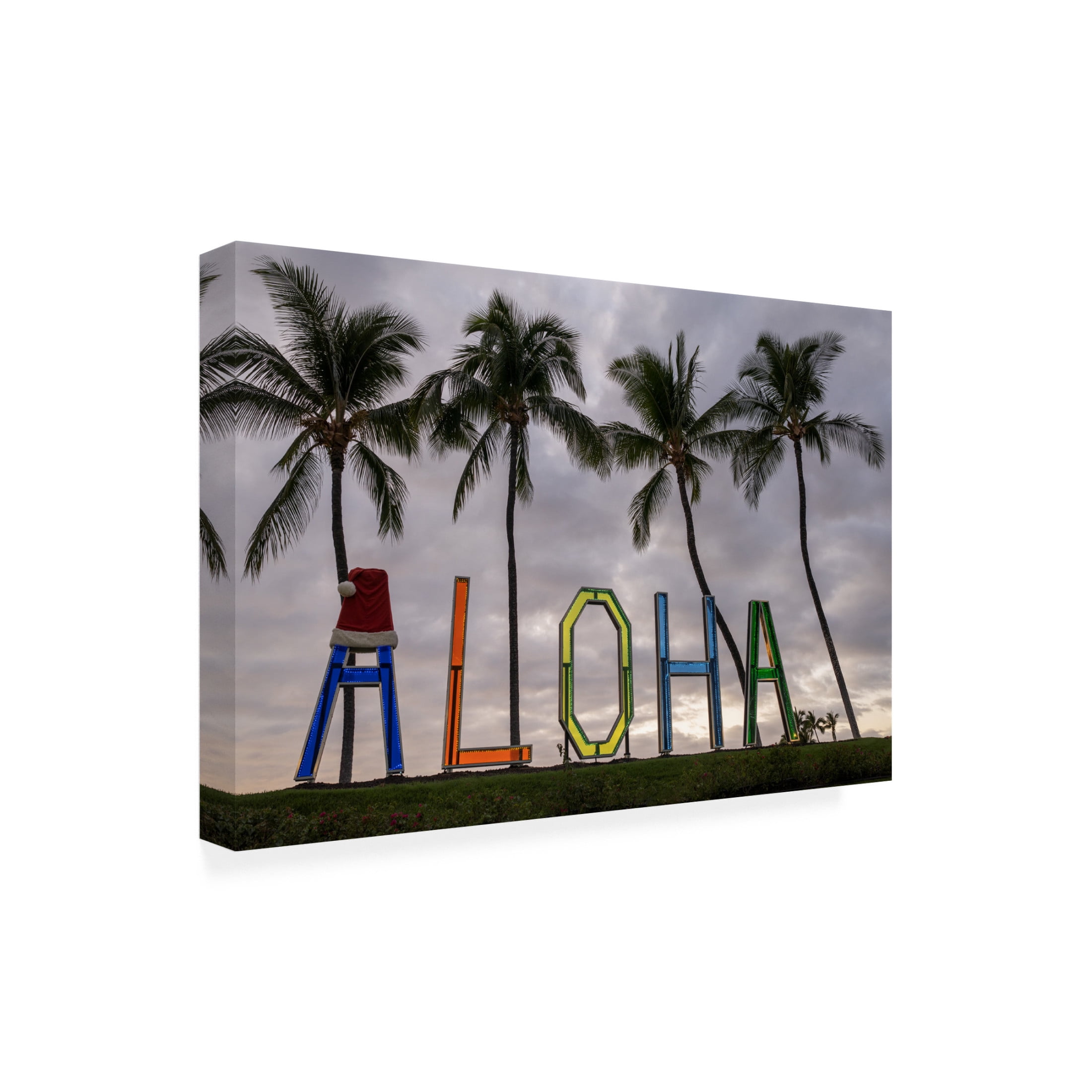 Canvas Wall Art - Dennis Frates 'Aloha' Wall Art for Living Room, Bedroom, or Office Décor by Trademark Fine Art - 19 x 12 Inches