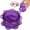 Purple, variant on HonestMatter Garlic Press, Manual Garlic Mincer and Crusher with Plastic Body, Garlic Twister for Herbs Onions and Ginger, Easy Clean Kitchen Tool, Green