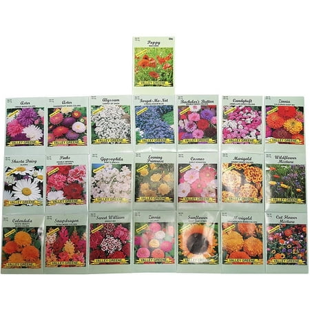 Set of 22 Valley Green Black Duck Brand Heirloom Flower Seeds 22 Different Varieties Non-GMO (Variety Deluxe Flower Garden)