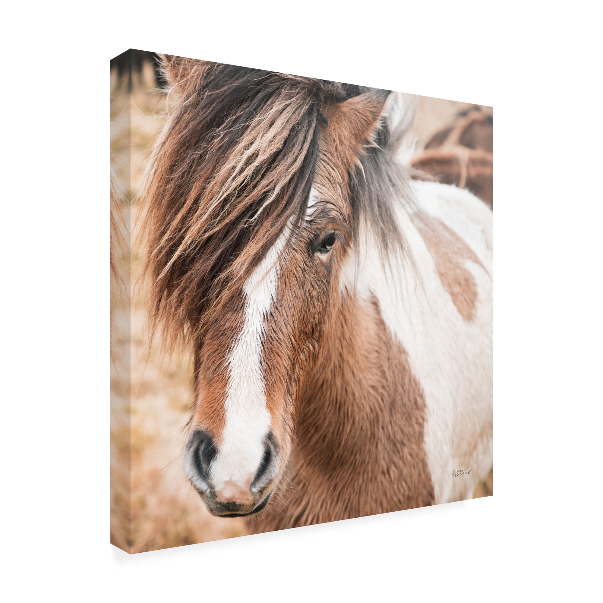 Trademark Fine Art 'Elska IV' Canvas Art by Laura Marshall