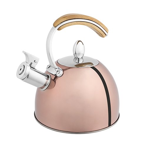 Stainless Steel Tea Kettle, Rose Gold Whistling Stovetop Steel Tea