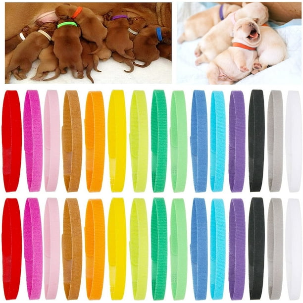Newborn puppy top collars walmart