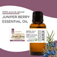 thumbnail image 3 of Juniper Berry Essential Oil - 4 fl oz - Amber Glass Bottle w/ Cap, 3 of 4