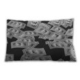 thumbnail image 1 of Ahgly Company Indoor Rectangular Contemporary Lumbar Throw Pillow, 13 inch by 19 inch, 1 of 5