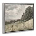 thumbnail image 2 of Stupell Industries Farmhouse Soft & Subtle Meadow Landscape Gray Floating Frame Canvas Art, 21 x 17, by Riley B, 2 of 8