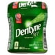 Dentyne Ice Menthe verte, gomme sans sucre, 1 flacon (60 morceaux) Xbox – image 3 sur 10