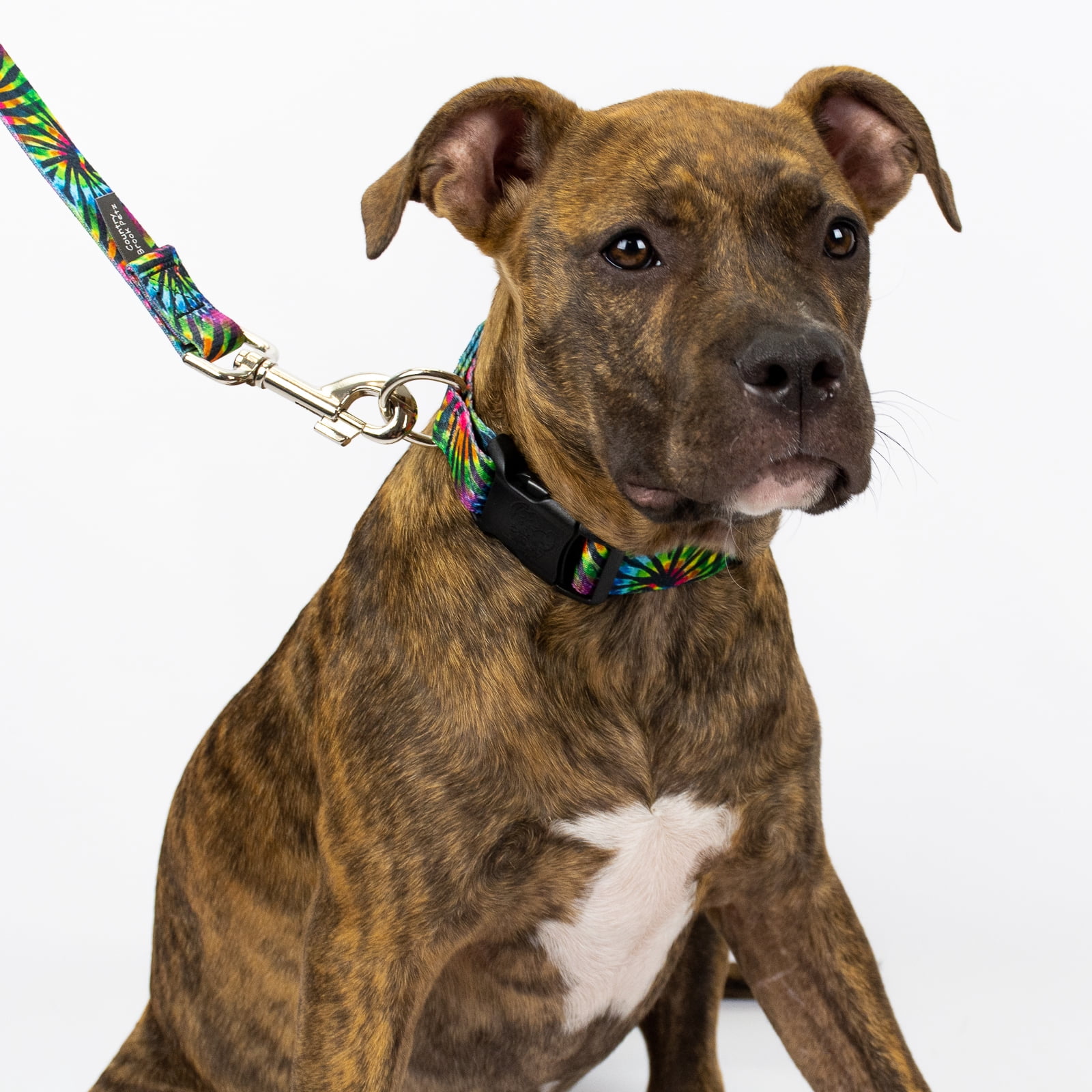 Country Brook Petz® Tie Dye Stripes Everyday Dog Collar and Leash, Medium