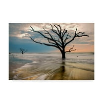 Trademark Fine Art 'Hangin On' Canvas Art by Danny Head