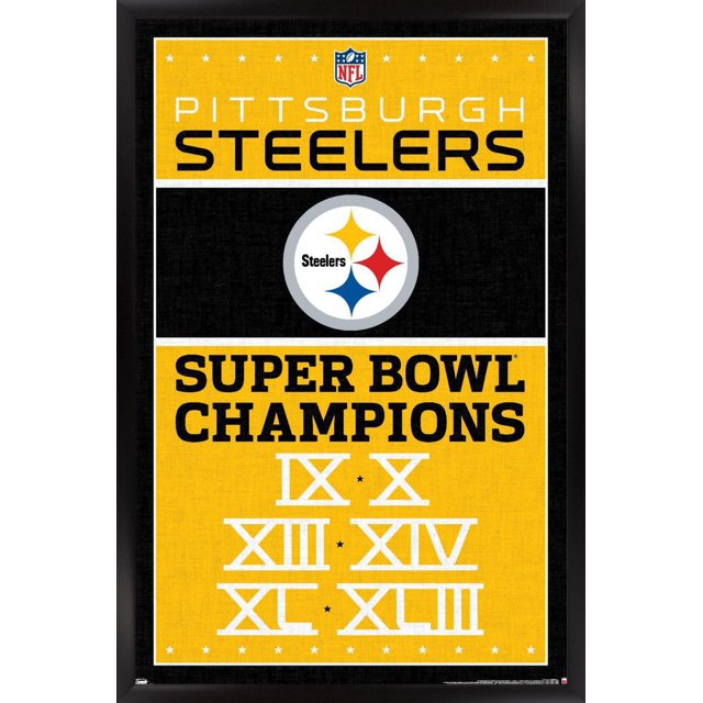 NFL Pittsburgh Steelers - Champions 13