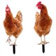 thumbnail image 5 of unbranded 2Ud Para Patio Con Estacas Acrílicas De Gallina Marrón, 5 of 7