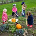 thumbnail image 3 of Juego de herramientas de jardinería para niños Duckura, rastrillo, rastrillo para hojas, 6 unidades, 3 of 7