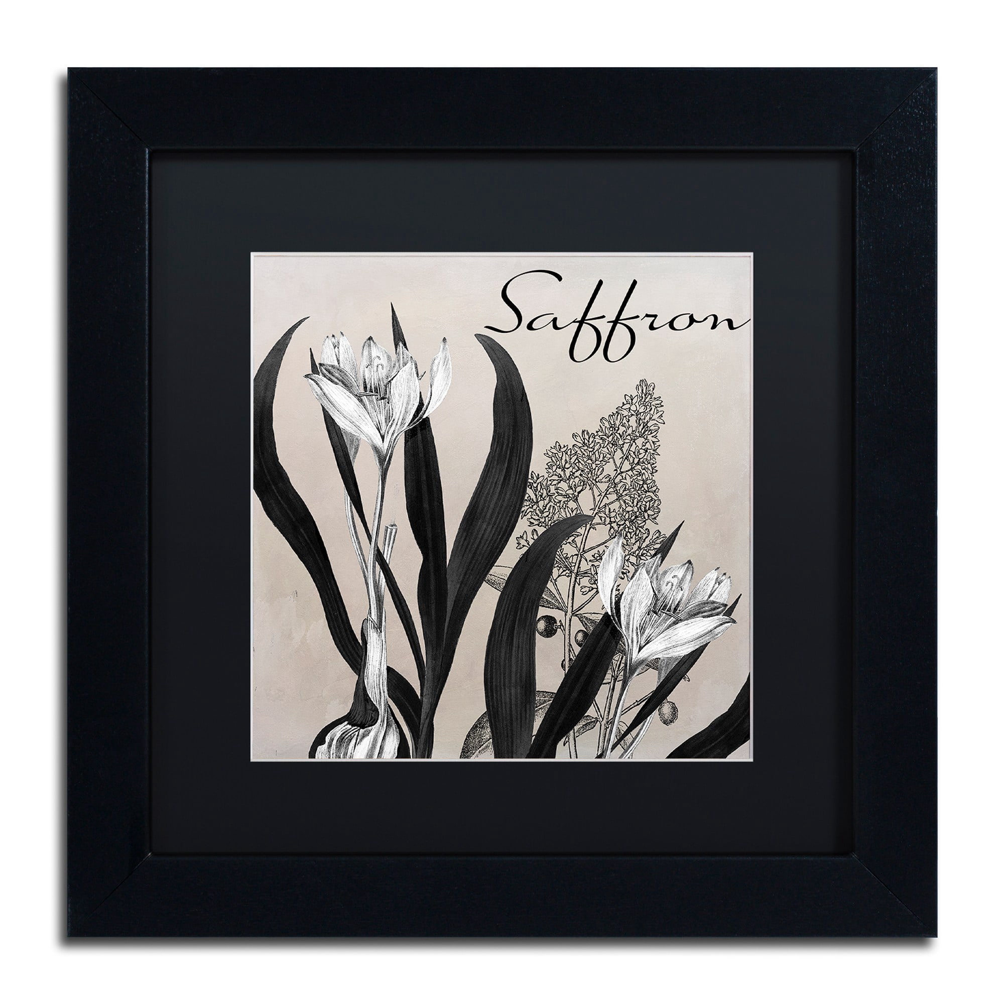 Trademark Fine Art "Flowering Herbs I" Canvas Art by Color Bakery Black Matte, Black Frame