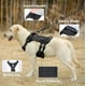 thumbnail image 4 of Arnés táctico para perros DoggieKit para perros medianos y grandes, color negro, 4 of 6