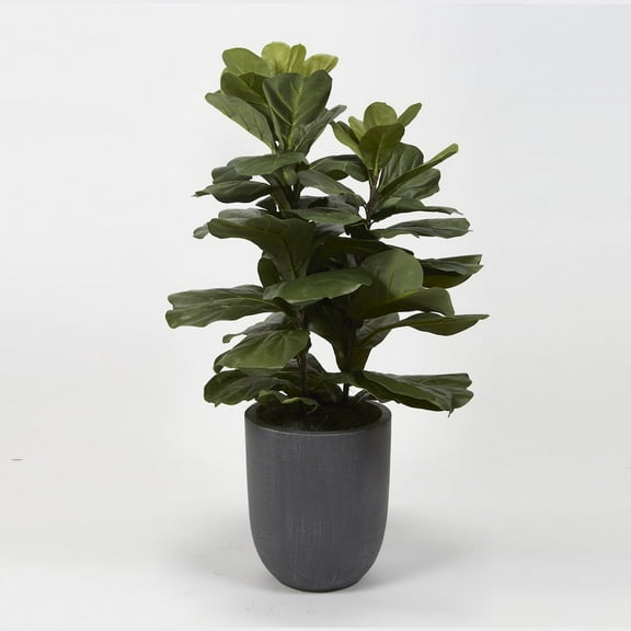 D & W Silks Fiddle Leaf Fig Plant in Round Grey Planter