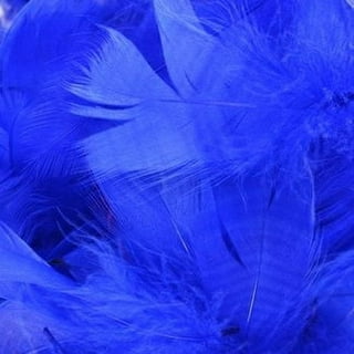 HaiMay 200 Pieces Royal Blue Feathers for Craft Wedding Home Party  Decorations, 6-8 Inches Goose Feathers Royal Blue Craft Feathers