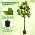 thumbnail image 7 of Amijoy 5.2 FT Tall Artificial Lemon Tree w/ Lemon Fruits, Cement Pot for Porch, Office, 7 of 7