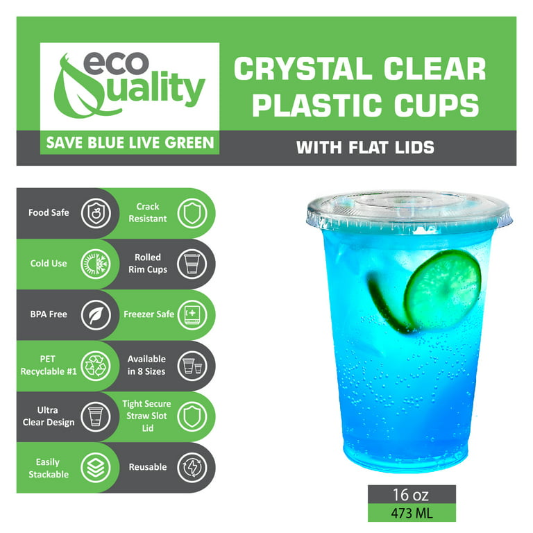 Visage 16 Ounce Disposable Cups, 1000 BPA-Free Cocktail Cups - Recyclable, Serve Beverages, Clear Plastic Disposable Juice Cups, for Picnics, BBQs, PA