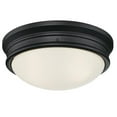 thumbnail image 1 of Westinghouse Lighting Meadowbrook Two-Light Indoor Flush-Mount Ceiling Fixture, 1 of 2