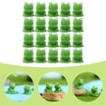 thumbnail image 2 of SHISUYAN 30 Pcs Mini Simulation Grenouilles Boîte Reptile Résine Ornements Paysagers, 2 of 8
