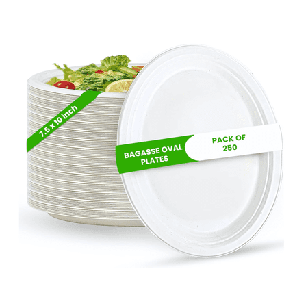 Oval Plates Disposable (10"250, Small) Ecofriendly Sugarcane bagasse by FPN