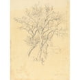 thumbnail image 2 of Robert Hills 19x24 Gold Ornate Framed and Double Matted Museum Art Print Titled - Study of Apple Trees, 2 of 4