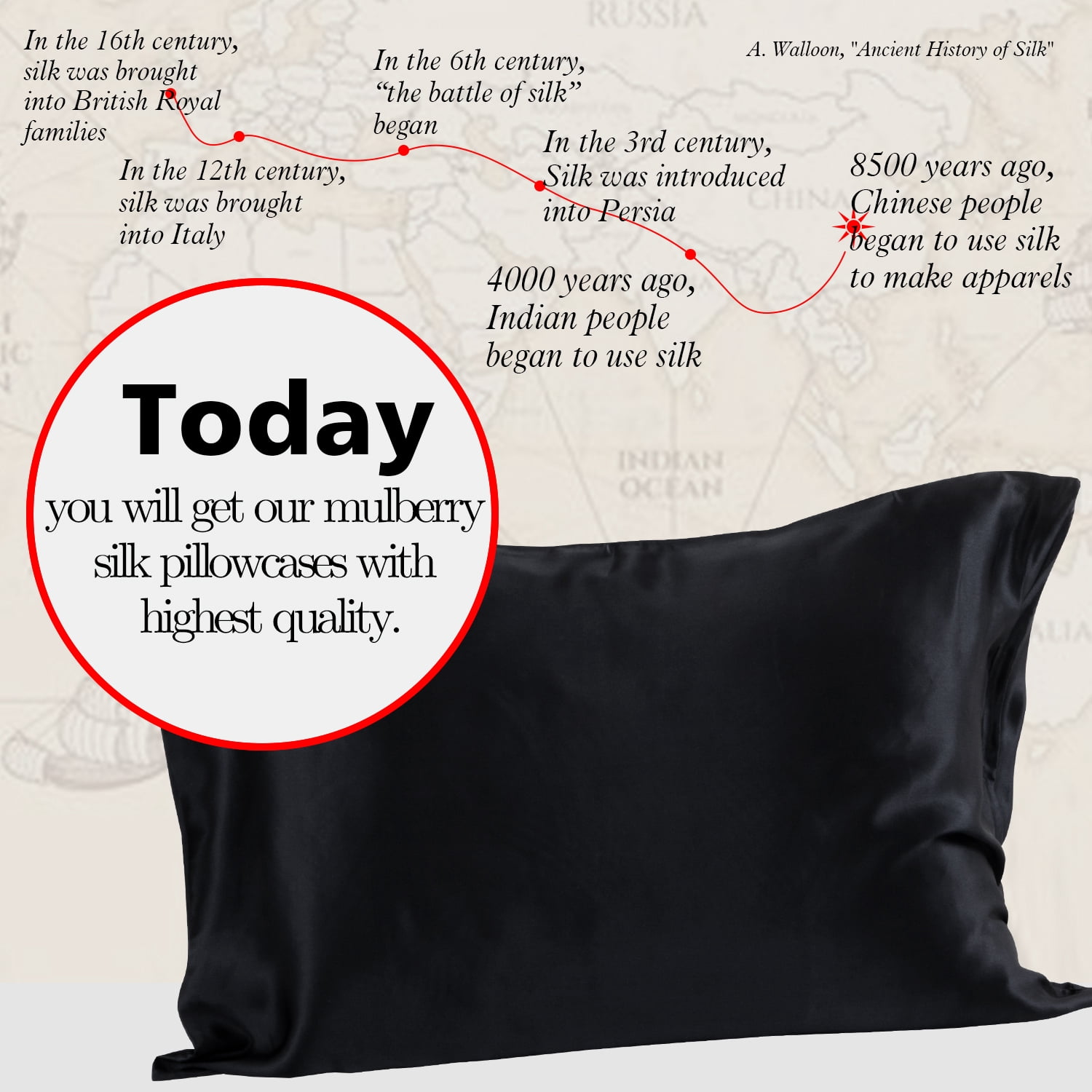 Ntbay 1 Pack 100% Mulberry Silk Queen Pillowcase with Hidden Zipper, Luxurious Both Side 19 Momme Pillow Case, 20" x 30", Black