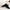 Black, variant on CAICJ98 Womens Leggings Plus Size Women's Extra Long Leggings Tall Leggings Over The Heel High Waisted with Back Pockets Black,One Size
