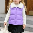 thumbnail image 2 of Girls' Winter Puffer Vest Warm Stand Collar Thick Cotton Coat Toddler Kid Cropped Sleeveless Jacket, Purple 2 Years, 2 of 7